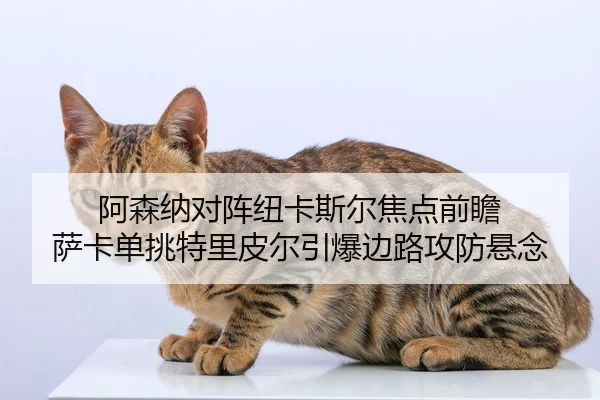 阿森纳对阵纽卡斯尔焦点前瞻 萨卡单挑特里皮尔引爆边路攻防悬念